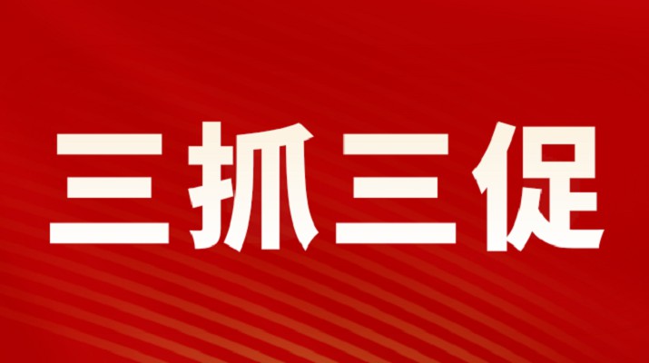 三抓三促进行时丨官方入口集团召开重点项目调度会